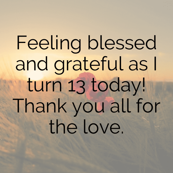 201+ 13th Birthday Captions For Instagram (Fresh & Trendy) 11 13th Birthday Captions Image For Instagram-XFiwNi