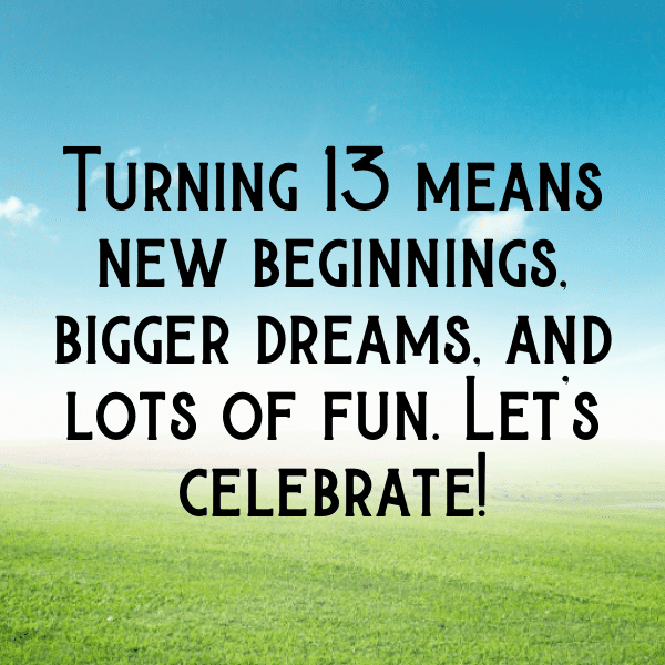 14th Birthday Captions Photo For Instagram-pj0T6r