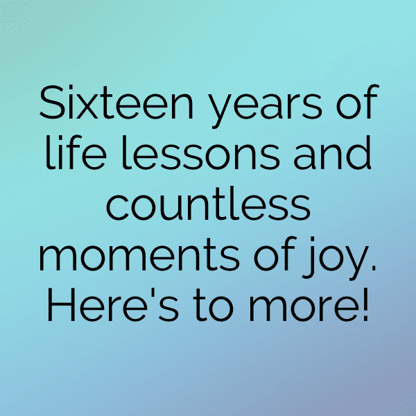 16th Birthday Captions Photo For Instagram-03yQAP