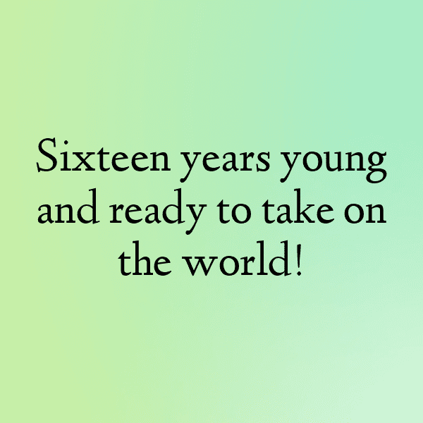 16th Birthday Captions Photo For Instagram-wI0s7O