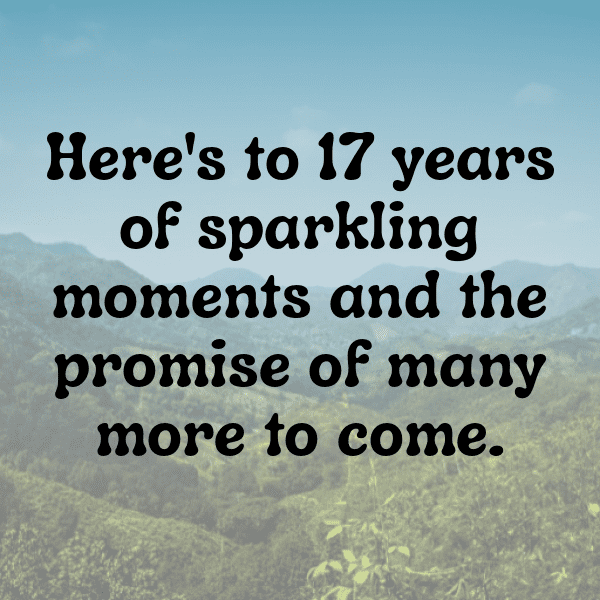 17th Birthday Captions Photo For Instagram-8cmUsx