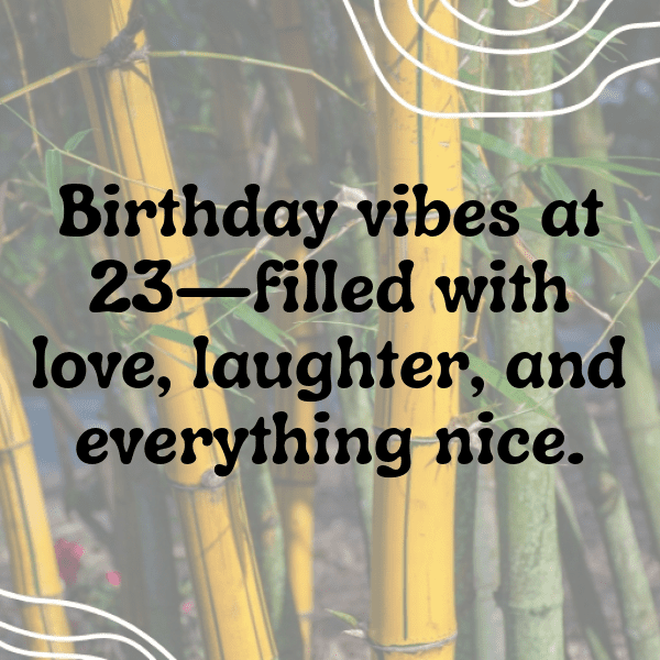 23rd Birthday Captions Photo For Instagram-7LGoUB