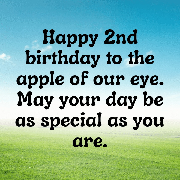 2nd Birthday Captions Image For Instagram-akSE80