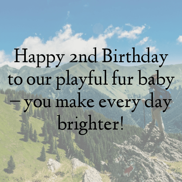 2nd Birthday Captions Image For Instagram-gpl10N