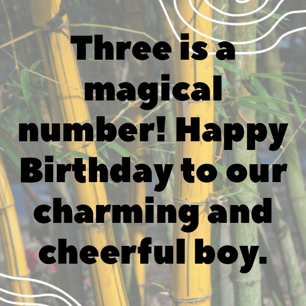 3rd Birthday Captions Photo For Instagram-qkE4cr