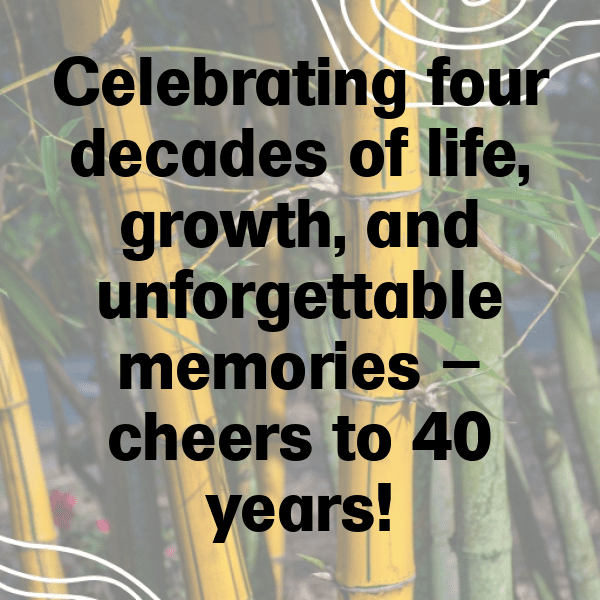 40th Birthday Captions Photo For Instagram-TT0eRi