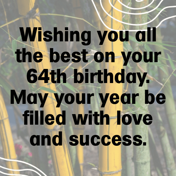 331+ 64th Birthday Captions For Instagram (Fresh & Trendy) 5 64th Birthday Captions Photo For Instagram-mO0S5V