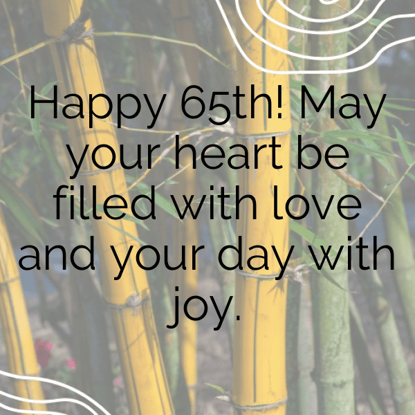 65th Birthday Captions Photo For Instagram-yDpLau