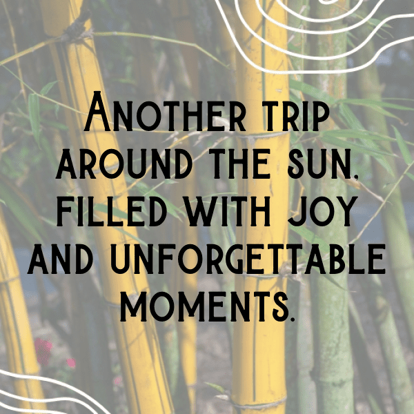 67th Birthday Captions Photo For Instagram-I4wocn