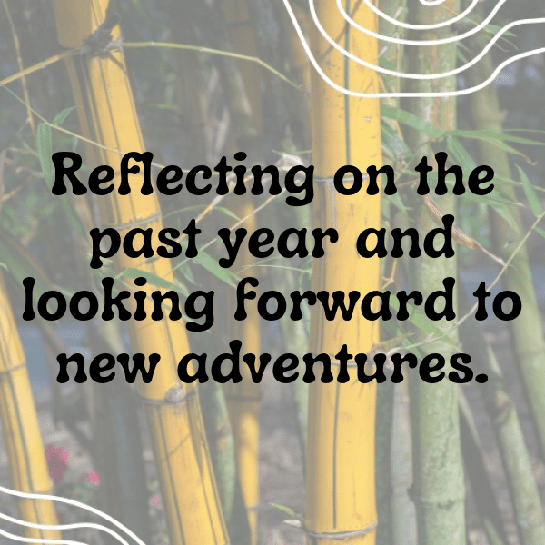 94th Birthday Captions Image For Instagram-Dye1wu