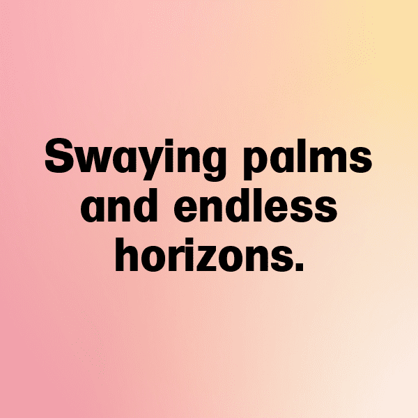 279+ Ackee Captions For Instagram (Short, Trending & Viral) 9 Ackee Captions Image For Instagram-4mx2lt