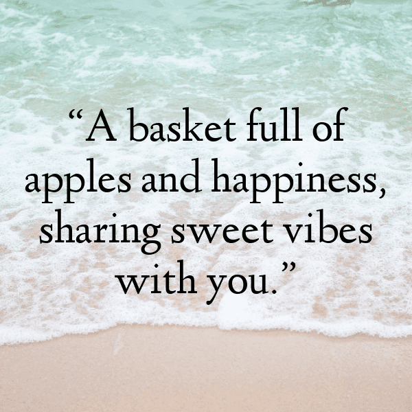 279+ Ackee Captions For Instagram (Short, Trending & Viral) 14 Ackee Captions Image For Instagram-9zg4Y3