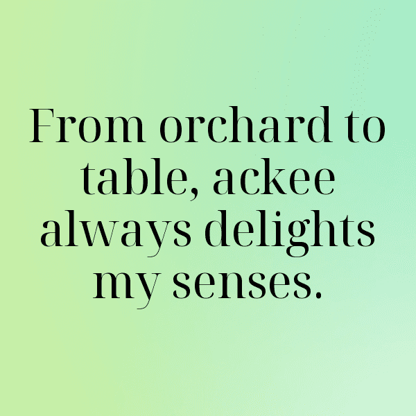 279+ Ackee Captions For Instagram (Short, Trending & Viral) 10 Ackee Captions Photo For Instagram-5YP6qw