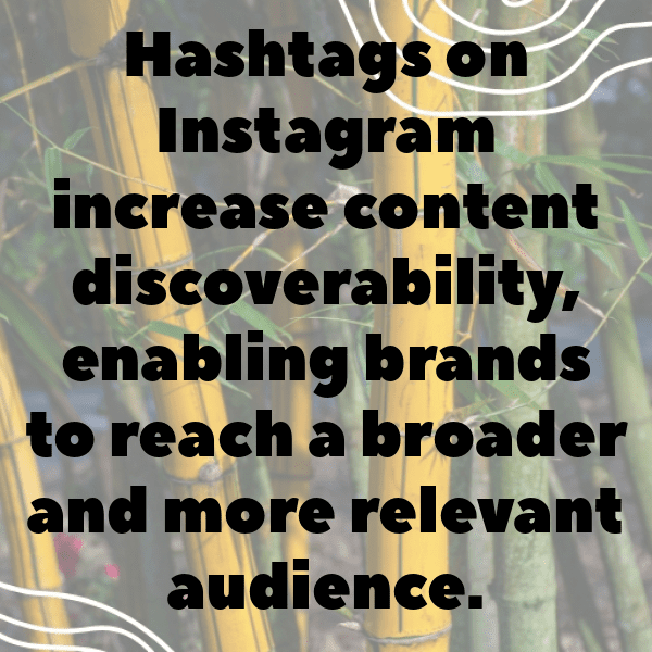 Acorn Squash Captions Image For Instagram-5yk30p