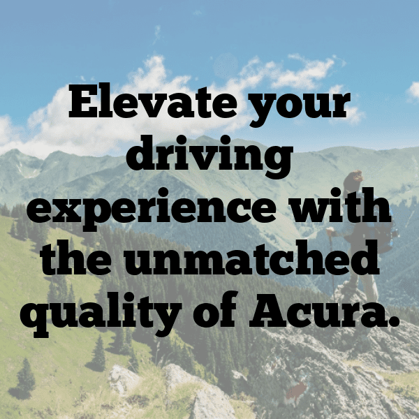 255+ Acura TLX Captions for Instagram (Trending, Funny & Top) 4 Acura TLX Captions Photo for Instagram-XwZ1XB