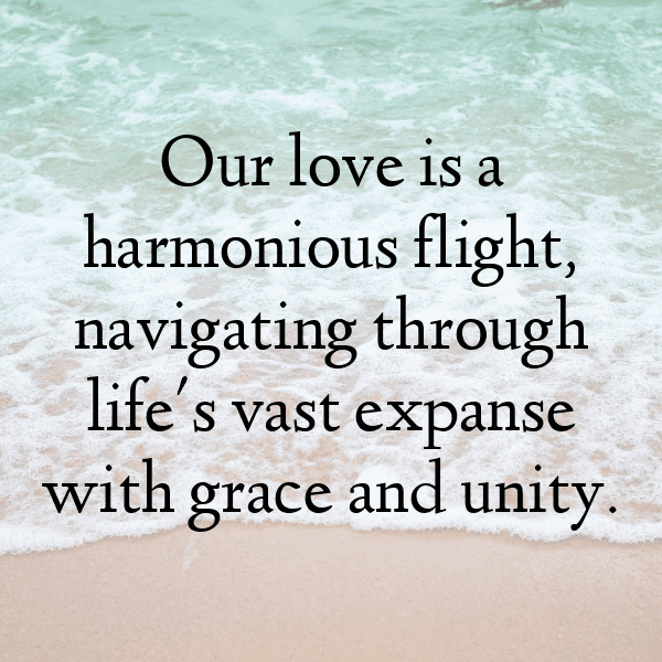 Albatross Captions Image For Instagram-DlTaPy