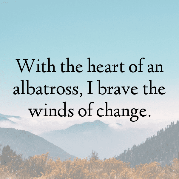 Albatross Captions Image For Instagram-SbGL1V