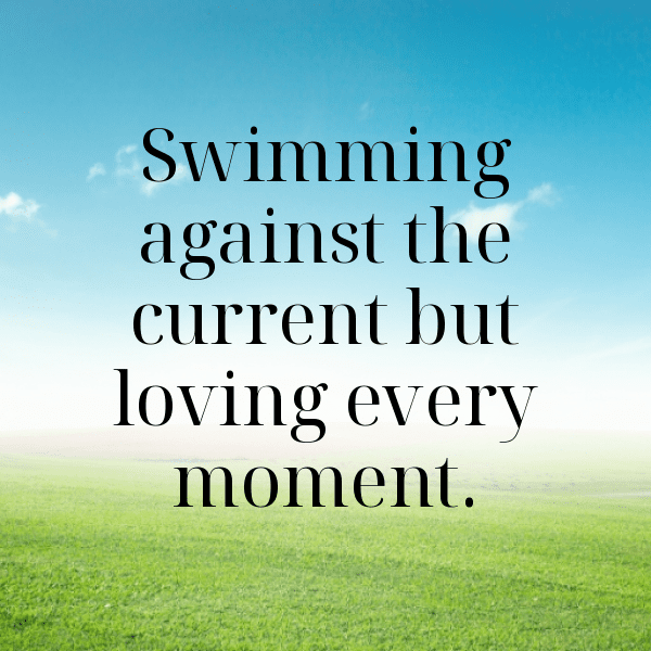 Albatross Captions Photo For Instagram-UCkZuy