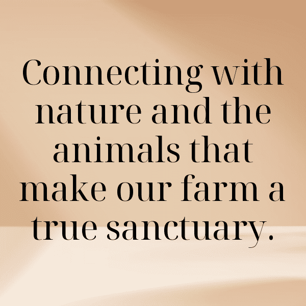 Alfalfa Sprouts Captions Image For Instagram-dOcehN