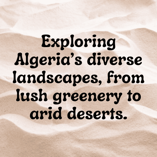 297+ Algeria Captions For Instagram (Short, Trending & Viral) 4 Algeria Captions Image For Instagram-0nZMVt