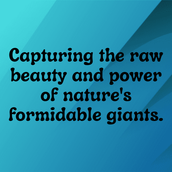 347+ Alligator Captions For Instagram (Short, Trending & Viral) 10 Alligator Captions Image For Instagram-oqubkq