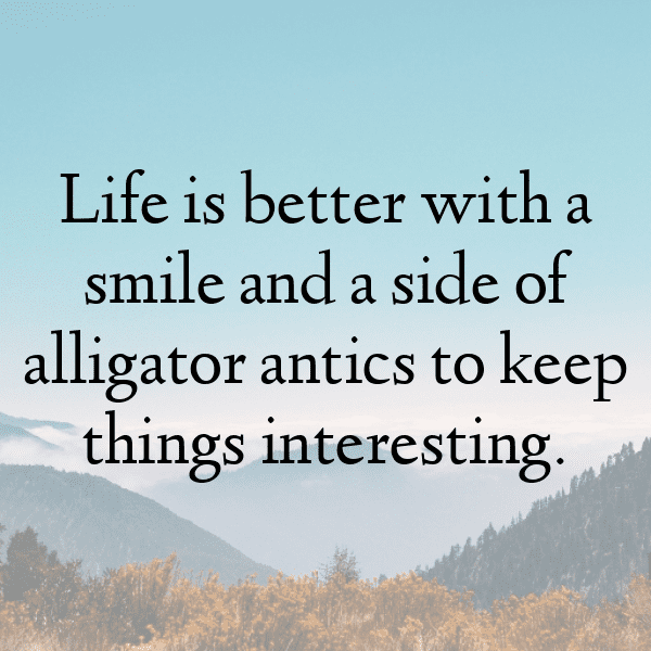 347+ Alligator Captions For Instagram (Short, Trending & Viral) 7 Alligator Captions Photo For Instagram-hrAecz