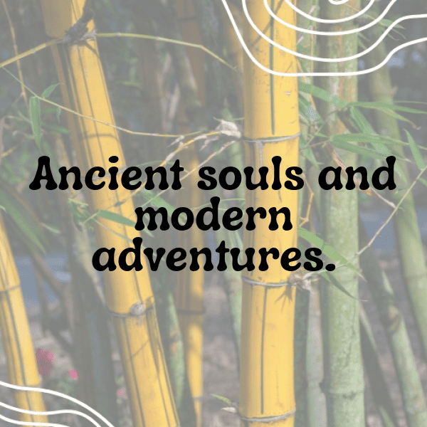 347+ Alligator Captions For Instagram (Short, Trending & Viral) 13 Alligator Captions Photo For Instagram-JbGOoF