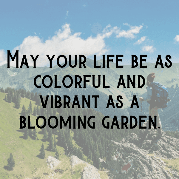 Allium Captions Photo For Instagram-VrwADk