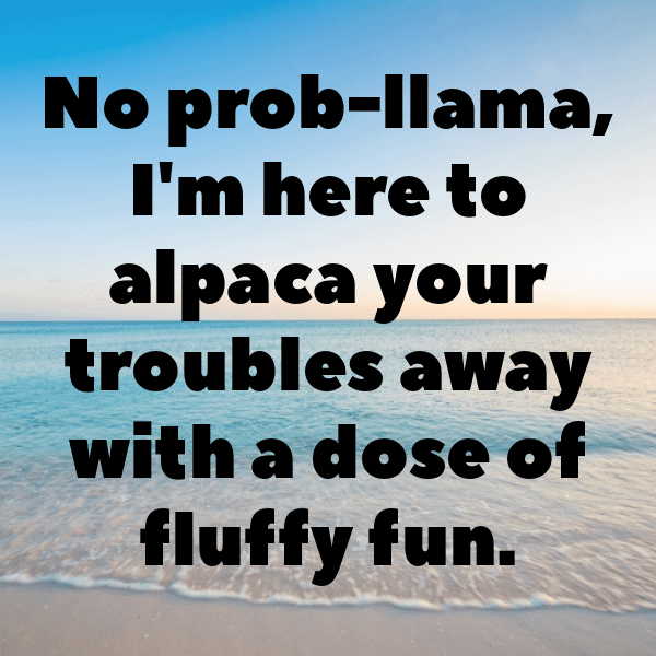 Alpaca Captions Photo For Instagram-IoyFpr