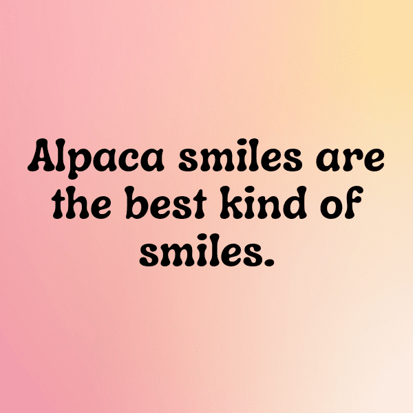 Alpaca Captions Photo For Instagram-JOqhl5