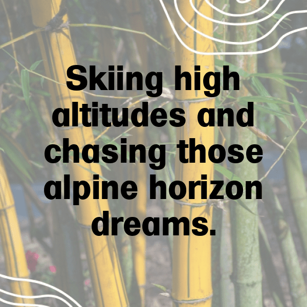 296+ Alpine Skiing Captions for Instagram In 2025 4 Alpine Skiing Captions Photo for Instagram-biE9gD