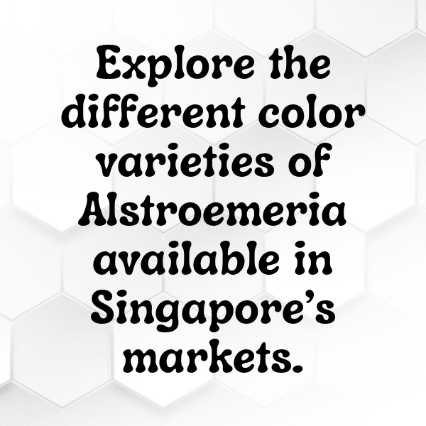 266+ Alstroemeria Captions For Instagram (Fresh & Trendy) 7 Alstroemeria Captions Image For Instagram-dRYOT3