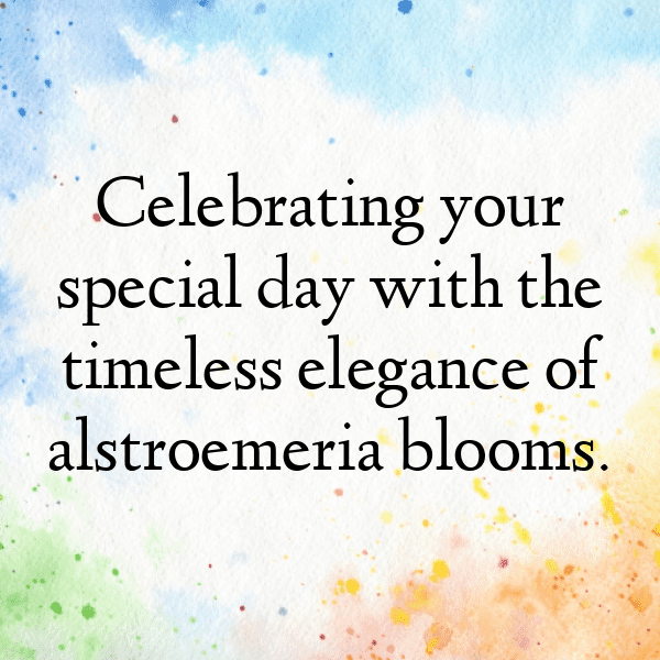 266+ Alstroemeria Captions For Instagram (Fresh & Trendy) 6 Alstroemeria Captions Image For Instagram-Iduxcn