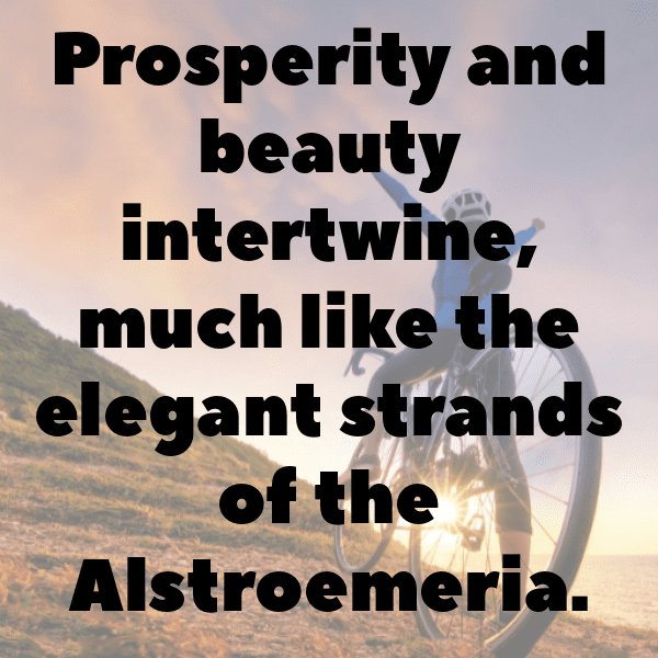 266+ Alstroemeria Captions For Instagram (Fresh & Trendy) 5 Alstroemeria Captions Photo For Instagram-oW1veE