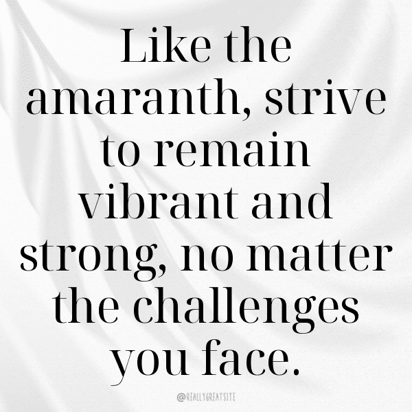 233+ Amaranth Captions For Instagram (Trending, Funny & Top) 4 Amaranth Captions Photo For Instagram-AgRxEm