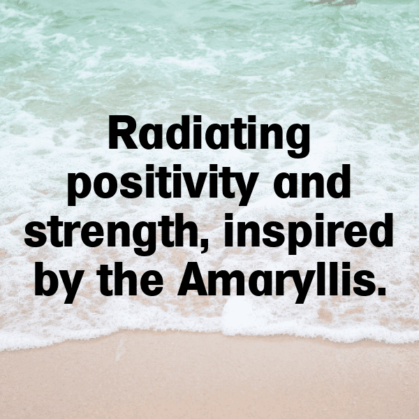 264+ Amaryllis Captions For Instagram (Short, Trending & Viral) 3 Amaryllis Captions Photo For Instagram-Q9TEJk