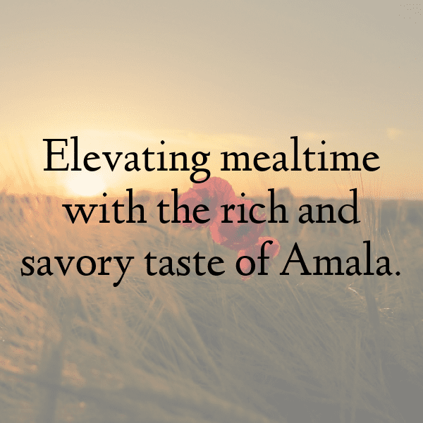 216+ Amla Captions For Instagram (Best, Funny & Short) 12 Amla Captions Image For Instagram-hUXw9W