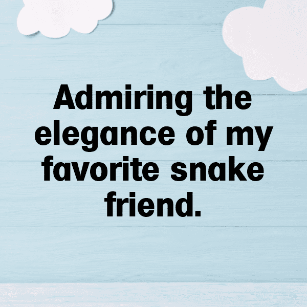 Anaconda Captions Photo For Instagram-S9581l