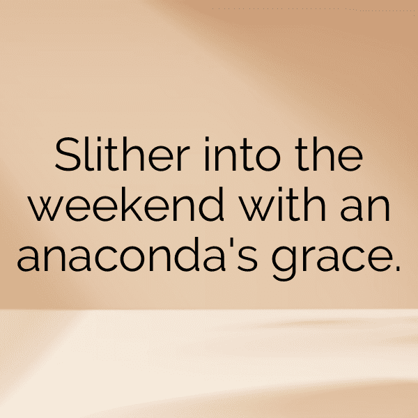 Anaconda Captions Photo For Instagram-wNUuWY