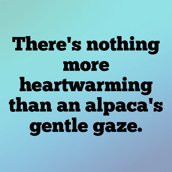 Andorra Captions Image For Instagram-LH3YVK