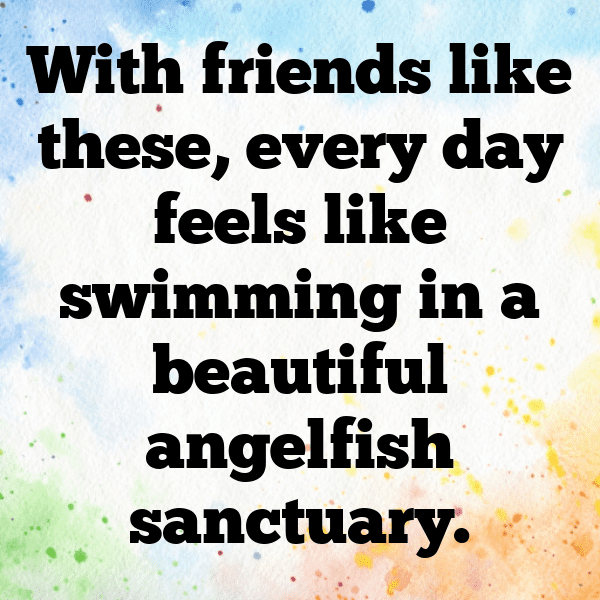 293+ Angelfish Captions For Instagram (Trending, Funny & Top) 6 Angelfish Captions Image For Instagram-jXaFHc