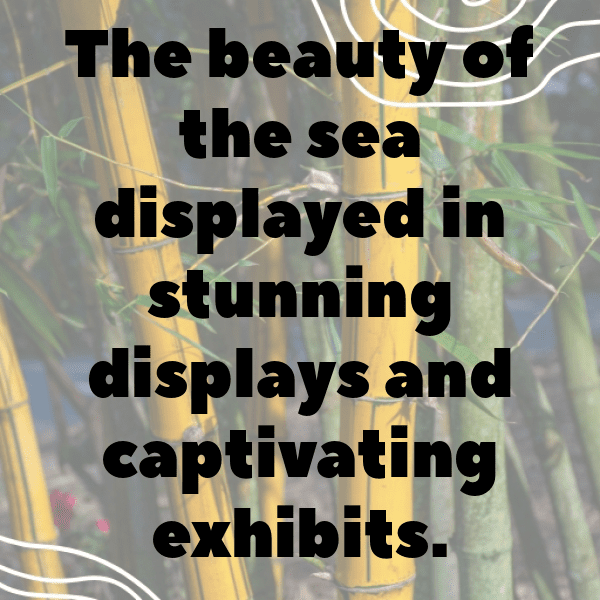 293+ Angelfish Captions For Instagram (Trending, Funny & Top) 14 Angelfish Captions Image For Instagram-nWXDkD