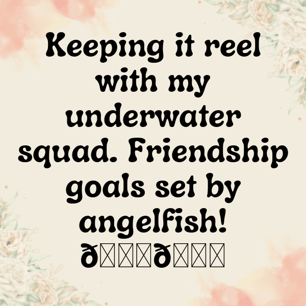 293+ Angelfish Captions For Instagram (Trending, Funny & Top) 4 Angelfish Captions Image For Instagram-prYriD