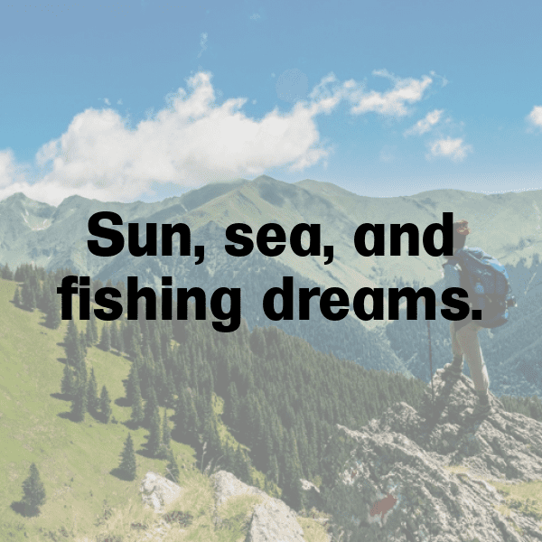 293+ Angelfish Captions For Instagram (Trending, Funny & Top) 10 Angelfish Captions Photo For Instagram-AQYB3p