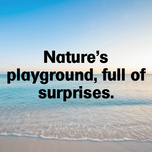 Angola Captions Photo For Instagram-jG4TRZ