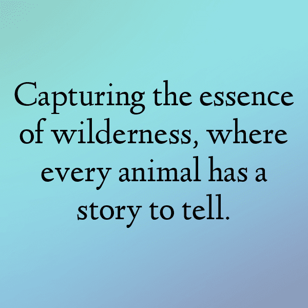 Angola Captions Photo For Instagram-MOdMHx