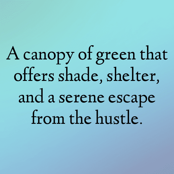 232+ Angry Birds Captions for Instagram (Best, Funny & Short) 11 Angry Birds Captions Image for Instagram-h93qez