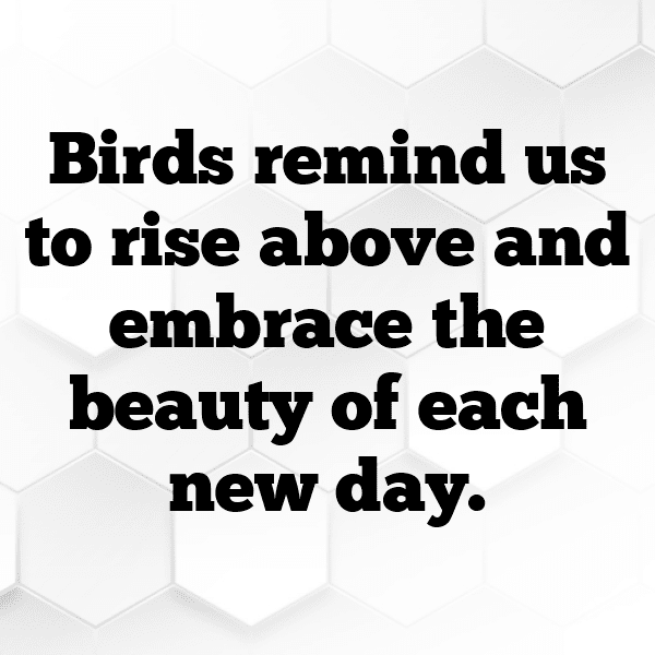 232+ Angry Birds Captions for Instagram (Best, Funny & Short) 12 Angry Birds Captions Photo for Instagram-U3kbfl