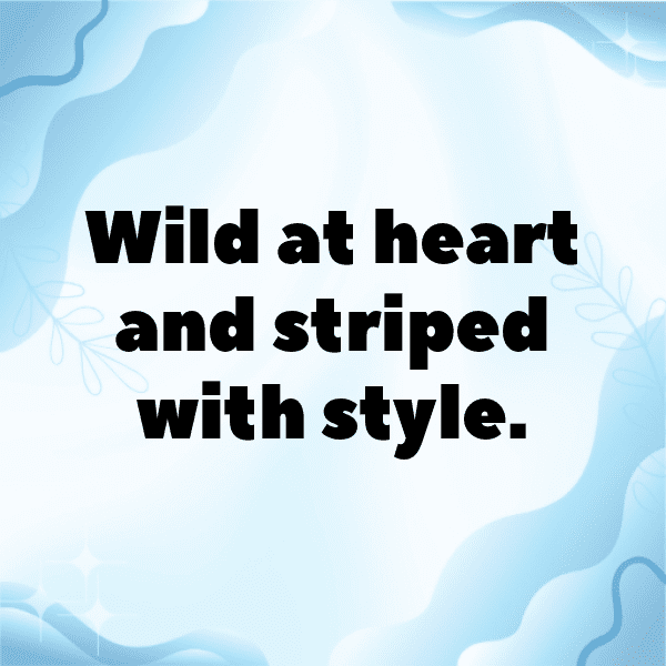 249+ Antelope Captions For Instagram (Fresh & Trendy) 16 Antelope Captions Photo For Instagram-jU84AS