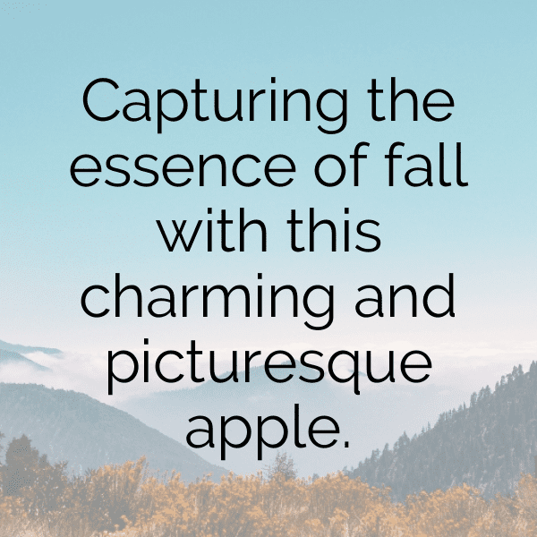 Apple Captions Image For Instagram-kDbvNq